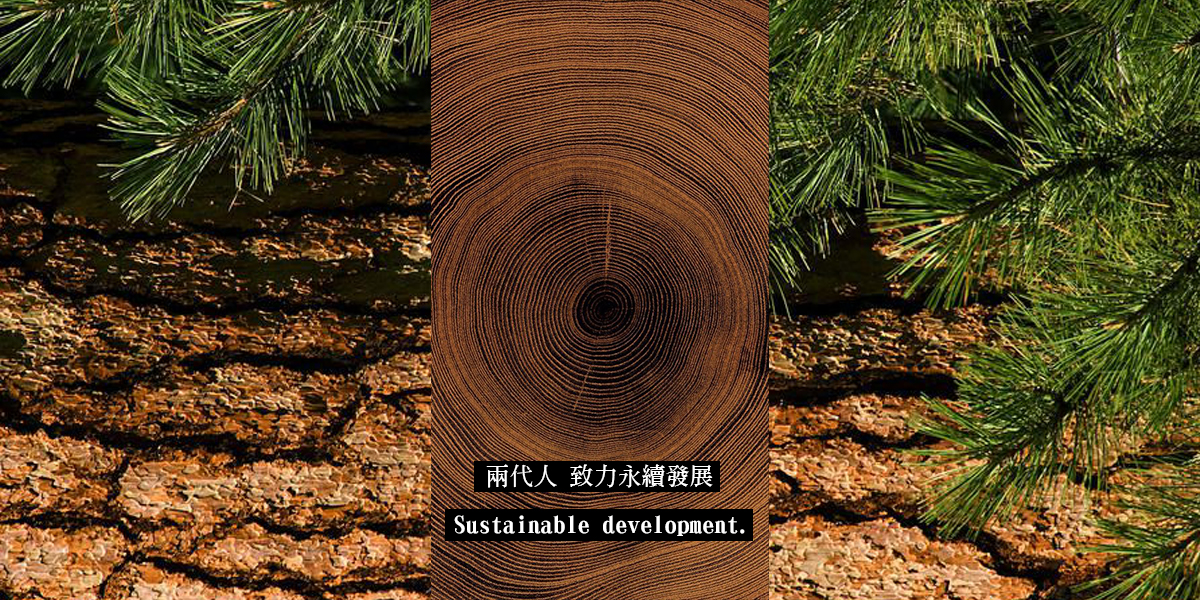 Second slide
